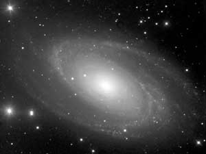 the galaxy M81